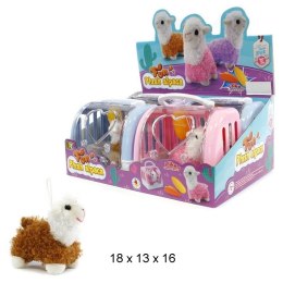 Alpaka lama w transporterze